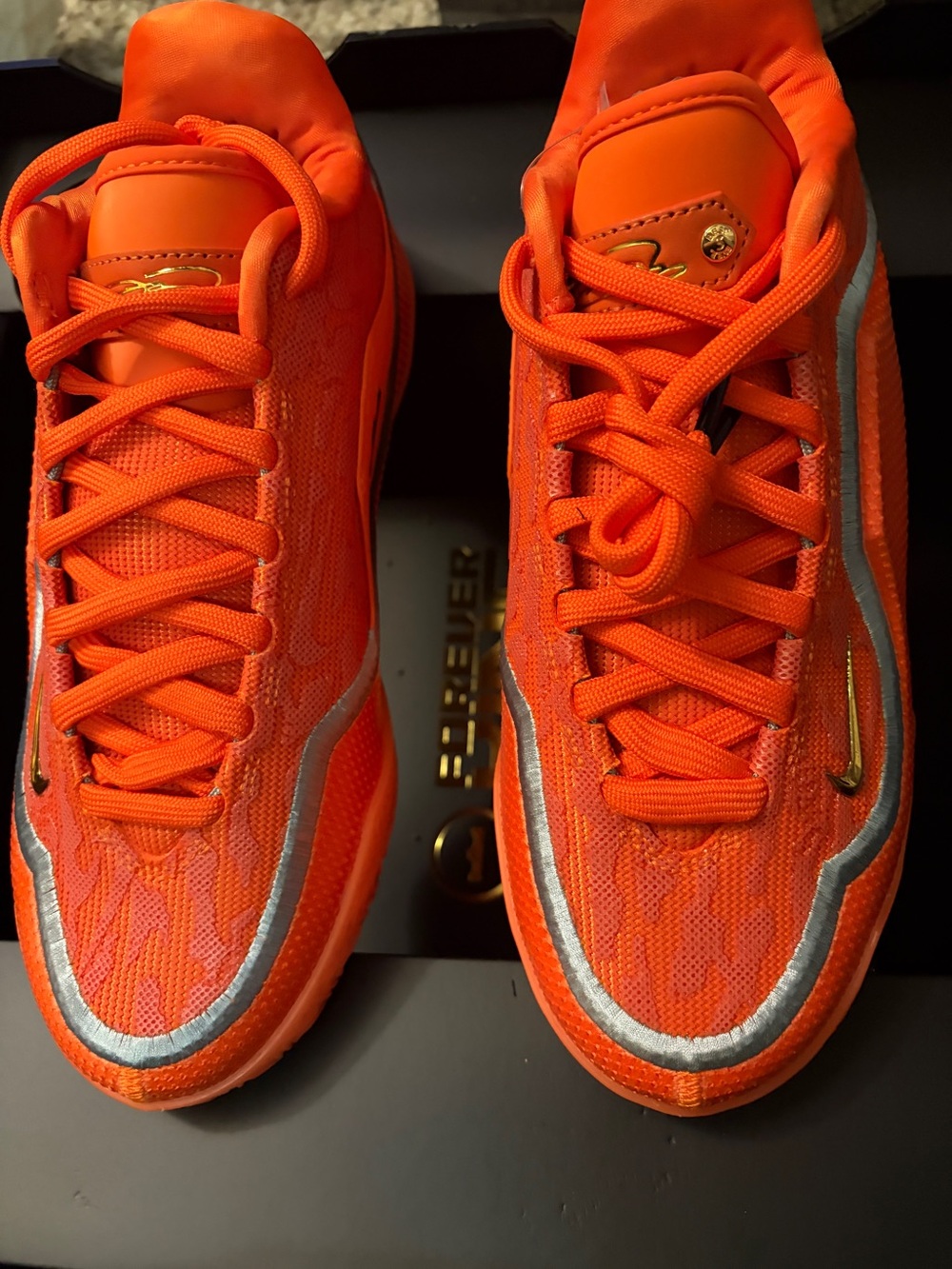 Size - 8 Nike LeBron 23 shoe bag (translucent outsole)